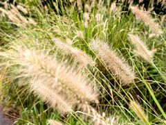 -处女泉风景名胜区