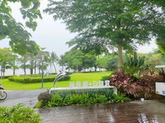 -深圳湾公园(南山区)
