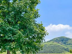-牛首山文化旅游区