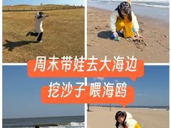 -秦皇岛阿尔卡迪亚滨海度假酒店