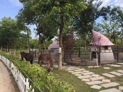 -上海滴水湖皇冠假日酒店