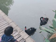 -长兴太湖图影湿地文化园