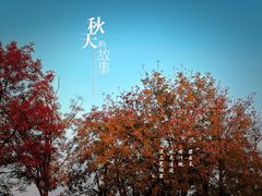 -宁波杭州湾国家湿地公园