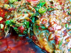 -胖大姐黄辣丁鱼庄(新津店)