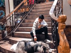 -more than meow吴止猫主题餐厅(承德 中船汇店)