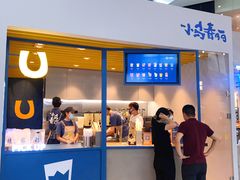 -春丽小马(济南恒隆广场店)