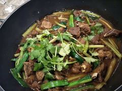 -东山羊庄(八卦岭店)