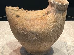 -云南省博物馆