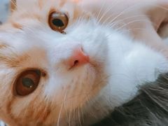 -中农大我爱我爱24h动物医院·中医针灸·猫专科·骨科医疗中心(双井店)