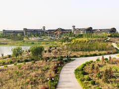 -扁鹊湖阿尔卡迪亚国际度假酒店