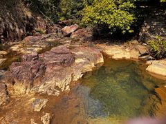 -广州白江湖森林公园