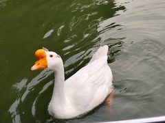 -团结湖公园