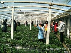 -烟台东联一汽丰田4S店(福山区店)