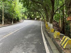 -大雁山风景区