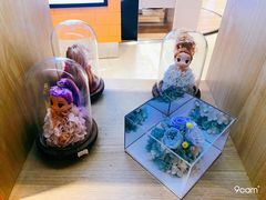 -谷莠子花艺气球派对·绿植造景·花艺沙龙(东海缤纷天地店)