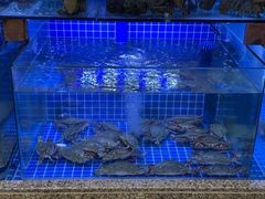 -永红源·啤酒烧烤海鲜大排档(台柳路店)