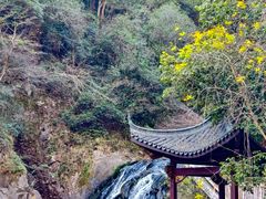 -五泄景区