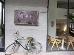 -猫里有甜