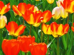 -北京植物园南门售票处