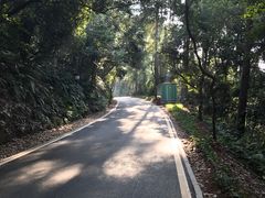 -三门江国家森林公园