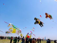 -潍坊滨海云门国际风筝放飞场