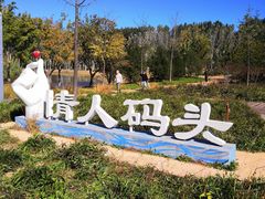 -东郊湿地公园