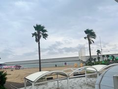 -碧海金沙