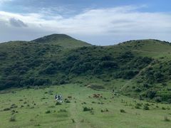 -大姆山草场
