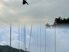 -南丹山森林王国