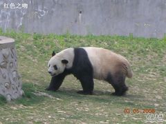 -西安秦岭野生动物园