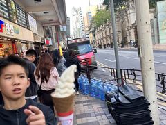 -富豪雪糕车流动点(尖沙咀店)