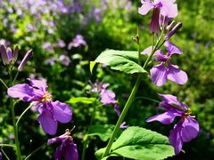 -停车场(临桂路)