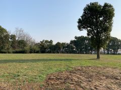 景点-蜀冈西峰生态公园