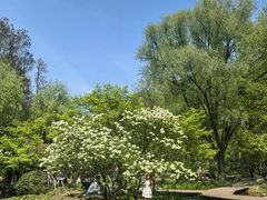 -共青国家森林公园-售票处