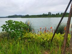 -东湖落雁景区