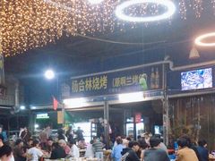 -杨合林啊兰烤鱼