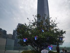 -武汉绿地中心