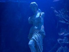 -太平洋海底世界