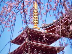 -浅草寺