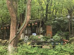 -天目湖山水园