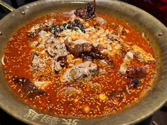 -张翻越·川渝冒菜·武汉黑鸭煲(城北万象城店)