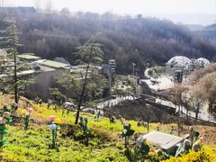 -白鹿原影视城