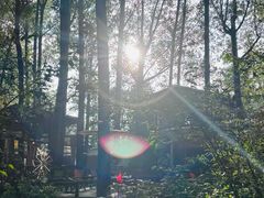 -林间山庄