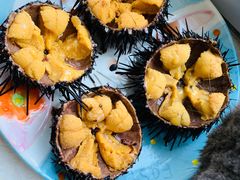 -海胆小馆(东北水饺·春柳店)