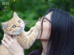 -木守西溪溪隐餐厅