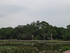 -洛阳市隋唐城遗址植物园