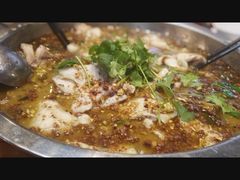 -农夫大盘鸡(经八路总店)