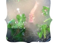 -高玛纳驴肉火烧(河间总店)