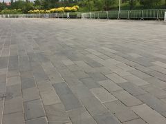 -老绥元烧麦·家常菜(体育场店)