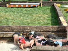 -栾川竹海野生动物园